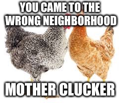 Chicken week April 2-8 | YOU CAME TO THE WRONG NEIGHBORHOOD; MOTHER CLUCKER | image tagged in chicken week | made w/ Imgflip meme maker