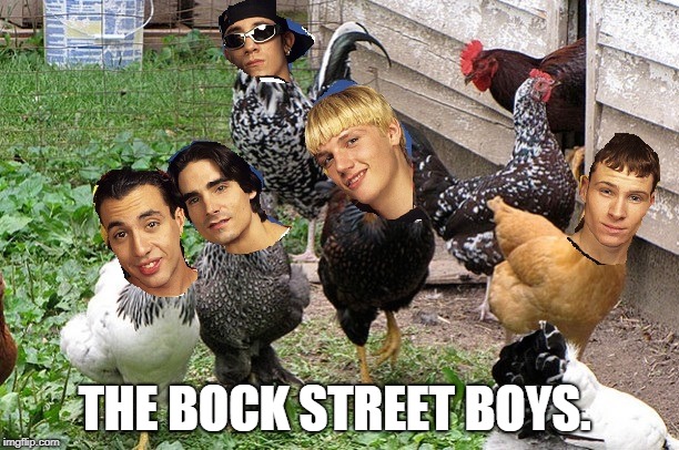 Chicken week! April 2-8! 
The Bock Street Boys. Where are they now? Back in the barnyard!  | THE BOCK STREET BOYS. | image tagged in the bock street boys,chicken week,where are they now | made w/ Imgflip meme maker