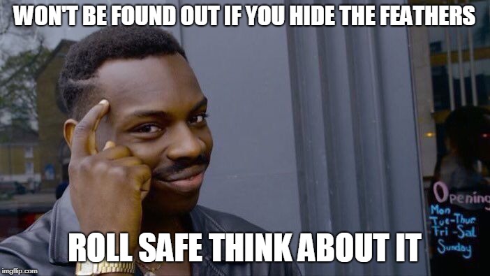 Roll Safe Think About It Meme | WON'T BE FOUND OUT IF YOU HIDE THE FEATHERS ROLL SAFE THINK ABOUT IT | image tagged in memes,roll safe think about it | made w/ Imgflip meme maker