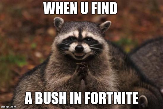 when u find a bush in fortnite | WHEN U FIND; A BUSH IN FORTNITE | image tagged in evil racoon,fortnite meme | made w/ Imgflip meme maker