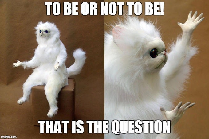 Persian Cat Room Guardian | TO BE OR NOT TO BE! THAT IS THE QUESTION | image tagged in memes,persian cat room guardian | made w/ Imgflip meme maker