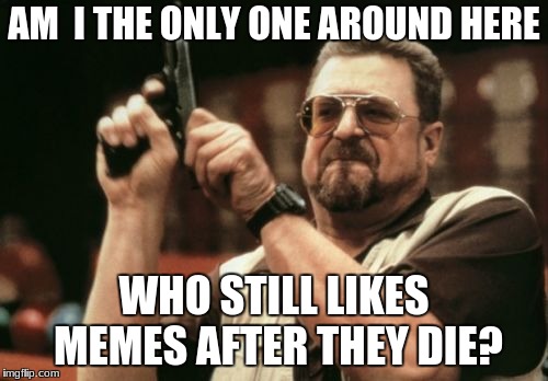 Am I The Only One Around Here Meme | AM  I THE ONLY ONE AROUND HERE; WHO STILL LIKES MEMES AFTER THEY DIE? | image tagged in memes,am i the only one around here | made w/ Imgflip meme maker