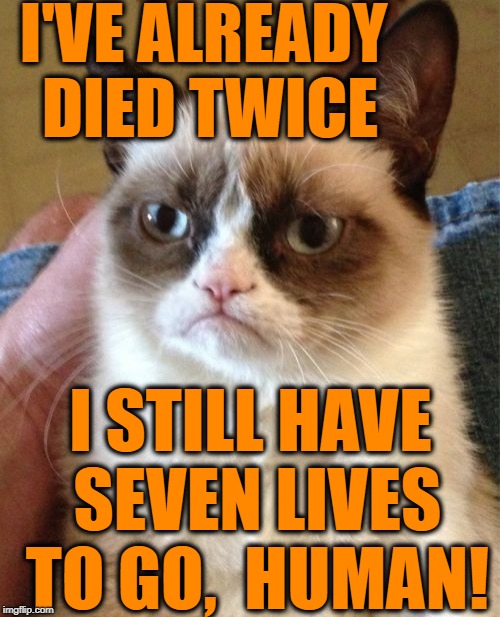 Grumpy Cat Meme | I'VE ALREADY DIED TWICE I STILL HAVE SEVEN LIVES TO GO,  HUMAN! | image tagged in memes,grumpy cat | made w/ Imgflip meme maker