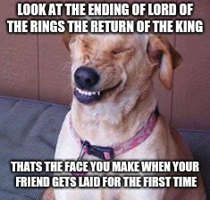 funny dog | LOOK AT THE ENDING OF LORD OF THE RINGS THE RETURN OF THE KING; THATS THE FACE YOU MAKE WHEN YOUR FRIEND GETS LAID FOR THE FIRST TIME | image tagged in funny dog | made w/ Imgflip meme maker