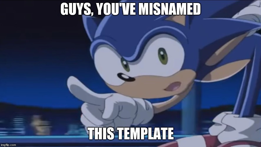 Kids, Don't - Sonic X | GUYS, YOU'VE MISNAMED; THIS TEMPLATE | image tagged in kids don't - sonic x | made w/ Imgflip meme maker
