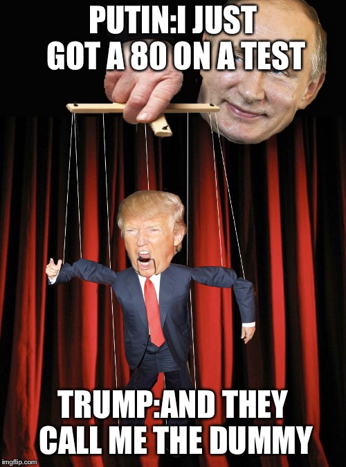 Trump Puppet | PUTIN:I JUST GOT A 80 ON A TEST; TRUMP:AND THEY CALL ME THE DUMMY | image tagged in trump puppet | made w/ Imgflip meme maker