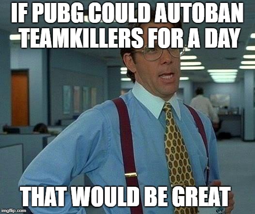 That Would Be Great Meme | IF PUBG COULD AUTOBAN TEAMKILLERS FOR A DAY; THAT WOULD BE GREAT | image tagged in memes,that would be great | made w/ Imgflip meme maker