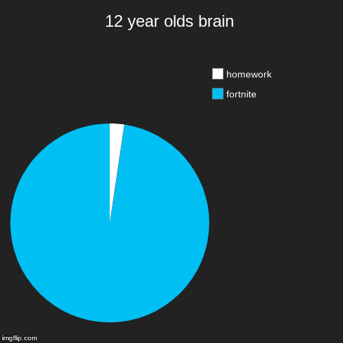 12 year olds brain | fortnite, homework | image tagged in funny,pie charts | made w/ Imgflip chart maker