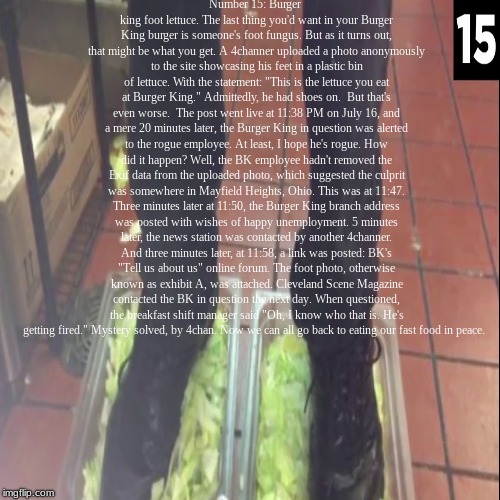number 15 Burger king foot lettuce  | image tagged in funny,foot lettuce,number 15,burger king | made w/ Imgflip demotivational maker