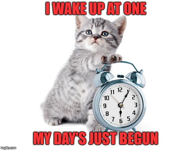 Kitty with alarm clock | I WAKE UP AT ONE; MY DAY'S JUST BEGUN | image tagged in kitty with alarm clock | made w/ Imgflip meme maker