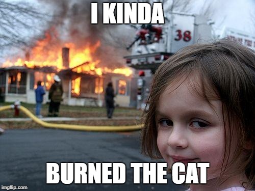 Disaster Girl Meme | I KINDA; BURNED THE CAT | image tagged in memes,disaster girl | made w/ Imgflip meme maker