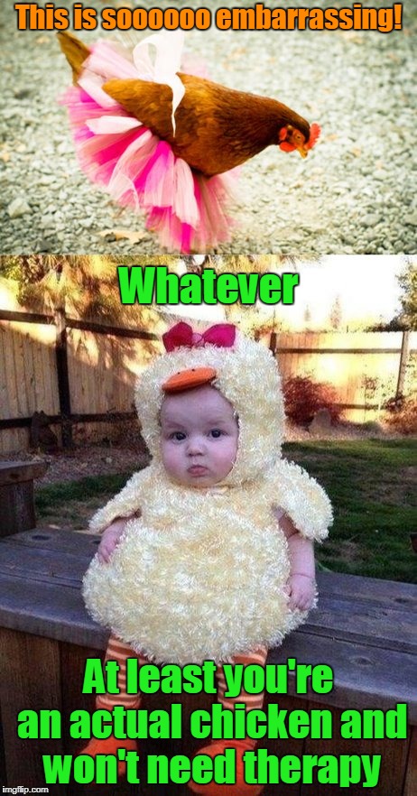 so quit the bellysquawkin' (Chicken Week, April 2nd-8th, a giveuahint & JBmemegeek celebration of our feathered friends) | This is soooooo embarrassing! Whatever; At least you're an actual chicken and won't need therapy | image tagged in memes,chicken week,chicken,costumes,therapy,cute | made w/ Imgflip meme maker