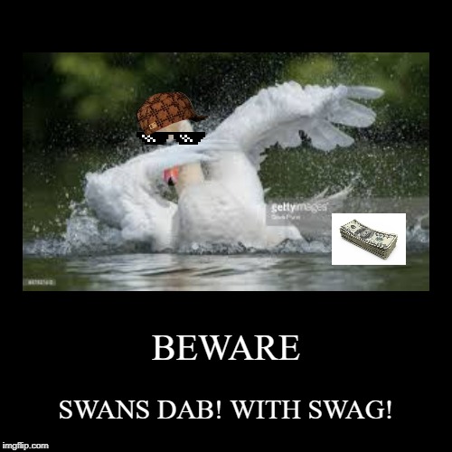 Swans dab like... | image tagged in funny,demotivationals | made w/ Imgflip demotivational maker