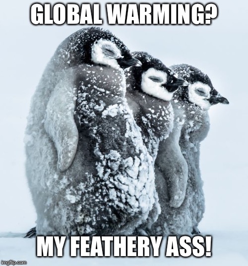 Welcome to Ohio! | GLOBAL WARMING? MY FEATHERY ASS! | image tagged in penguins snowstorm,funny memes,global warming,climate change,liberal hypocrisy,lies | made w/ Imgflip meme maker