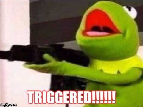 triggered kermit | image tagged in kermit the frog | made w/ Imgflip meme maker