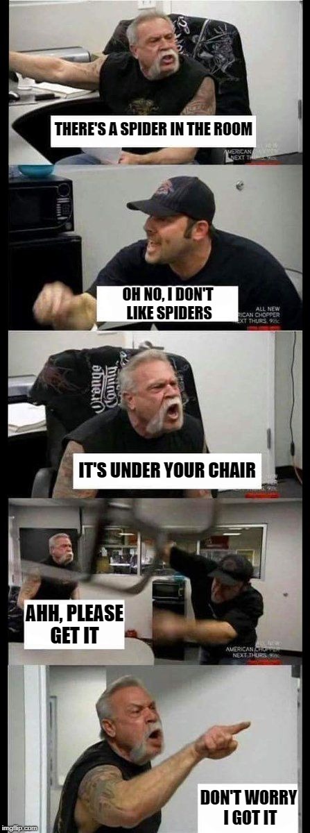 Spider Scare | THERE'S A SPIDER IN THE ROOM; OH NO, I DON'T LIKE SPIDERS; IT'S UNDER YOUR CHAIR; AHH, PLEASE GET IT; DON'T WORRY I GOT IT | image tagged in meme | made w/ Imgflip meme maker
