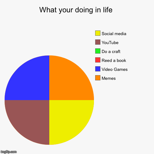 What your doing in life | Memes, Video Games, Reed a book, Do a craft, YouTube , Social media | image tagged in funny,pie charts | made w/ Imgflip chart maker