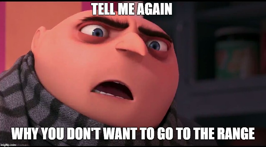 Gru | TELL ME AGAIN; WHY YOU DON'T WANT TO GO TO THE RANGE | image tagged in gru | made w/ Imgflip meme maker