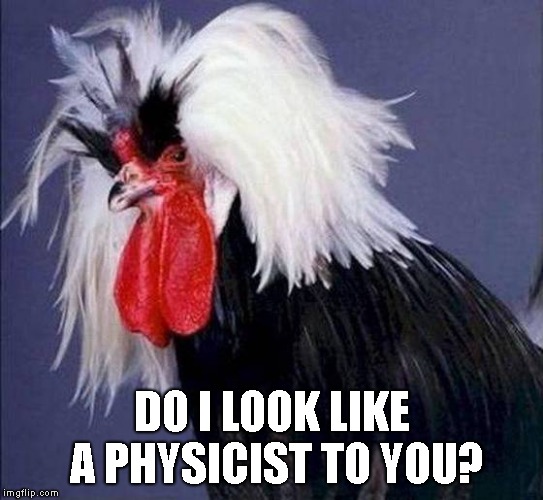 DO I LOOK LIKE A PHYSICIST TO YOU? | made w/ Imgflip meme maker