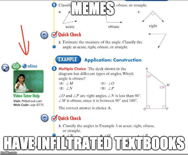 My Life Is Complete | MEMES; HAVE INFILTRATED TEXTBOOKS | image tagged in memes,funny,yeezussaves | made w/ Imgflip meme maker