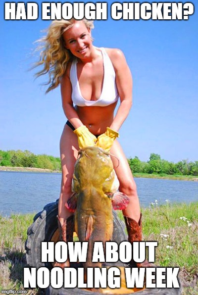 Noodling, such a great way to catfish! How about it? - Imgflip