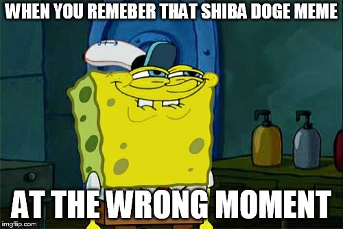Don't You Squidward Meme | WHEN YOU REMEBER THAT SHIBA DOGE MEME; AT THE WRONG MOMENT | image tagged in memes,dont you squidward | made w/ Imgflip meme maker