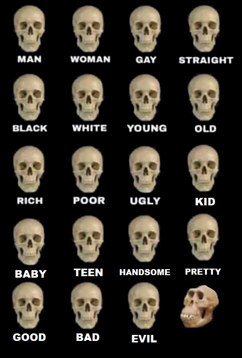 idiot skull extended Blank Meme Template