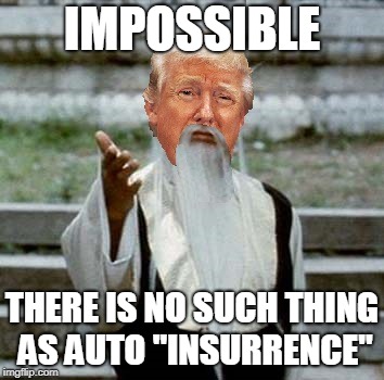 Trumpai Mei | IMPOSSIBLE THERE IS NO SUCH THING AS AUTO "INSURRENCE" | image tagged in trumpai mei | made w/ Imgflip meme maker