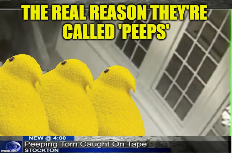 Late for Easter but on time for Chicken Week! | THE REAL REASON THEY'RE CALLED 'PEEPS' | image tagged in funny memes,peeps,chicken week,peeping tom,jbmemegeek,giveuahint | made w/ Imgflip meme maker