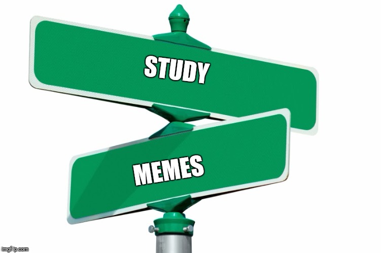 To meme, or not to meme. | STUDY; MEMES | image tagged in blank street signs | made w/ Imgflip meme maker