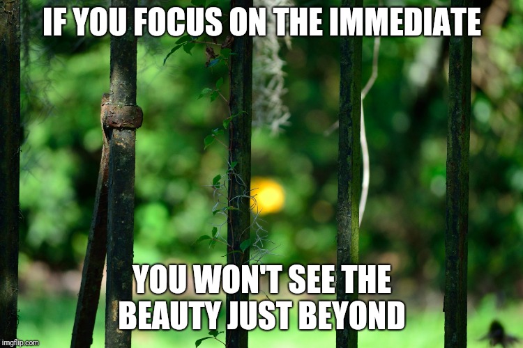 Focus on the fence | IF YOU FOCUS ON THE IMMEDIATE; YOU WON'T SEE THE BEAUTY JUST BEYOND | image tagged in focus on the fence | made w/ Imgflip meme maker