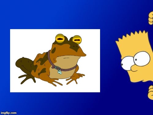 Bart Simpson and the Hypnotoad | image tagged in hypnotoad,bart simpson,futurama,the simpsons | made w/ Imgflip meme maker