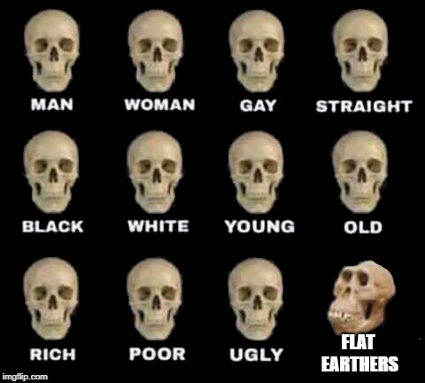 Idiot Skull | FLAT EARTHERS | image tagged in idiot skull,memes,doctordoomsday180,funny,flat earthers,idiots | made w/ Imgflip meme maker