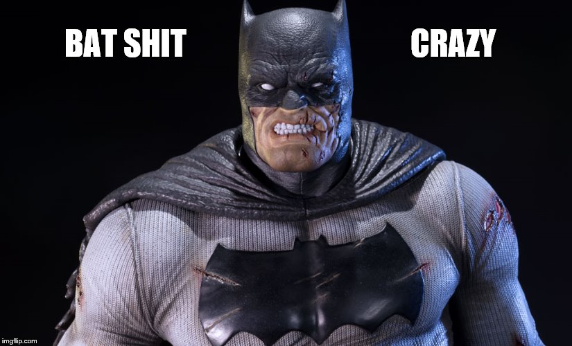 BAT SHIT CRAZY | made w/ Imgflip meme maker