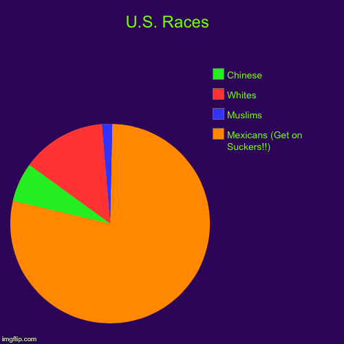 Get on Suckers!! | U.S. Races  | Mexicans (Get on Suckers!!), Muslims, Whites, Chinese | image tagged in funny,pie charts | made w/ Imgflip chart maker