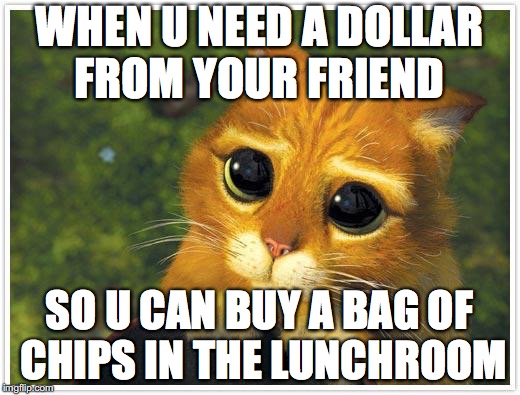 Shrek Cat Meme | WHEN U NEED A DOLLAR FROM YOUR FRIEND; SO U CAN BUY A BAG OF CHIPS IN THE LUNCHROOM | image tagged in memes,shrek cat | made w/ Imgflip meme maker