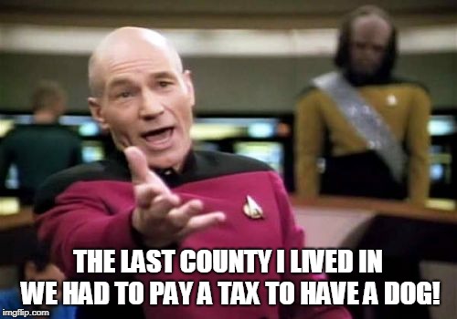 Picard Wtf Meme | THE LAST COUNTY I LIVED IN WE HAD TO PAY A TAX TO HAVE A DOG! | image tagged in memes,picard wtf | made w/ Imgflip meme maker