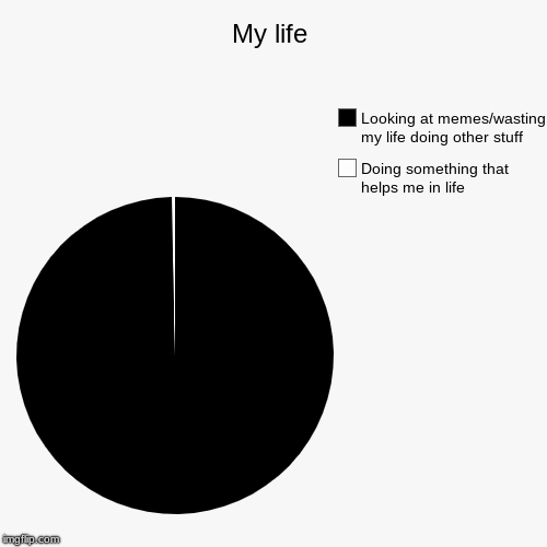 My life | Doing something that helps me in life, Looking at memes/wasting my life doing other stuff | image tagged in funny,pie charts | made w/ Imgflip chart maker