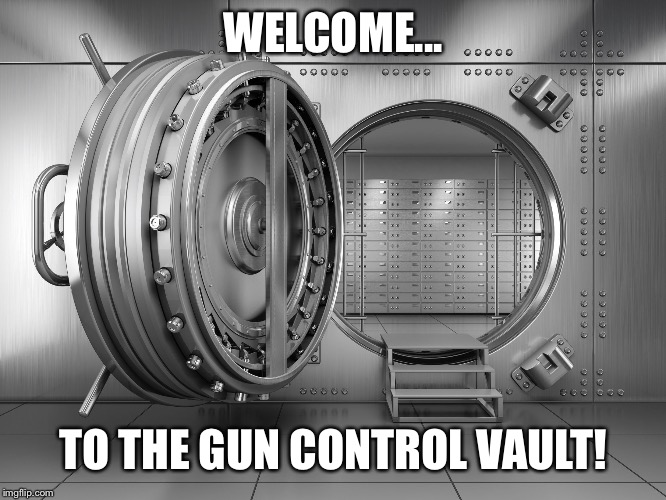 The gun control vault! Please read my comment for information  | WELCOME... TO THE GUN CONTROL VAULT! | image tagged in the vault,gun control | made w/ Imgflip meme maker