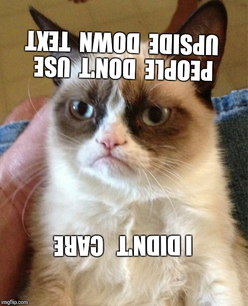 Grumpy Cat Meme | PEOPLE  DON'T  USE UPSIDE  DOWN  TEXT; I DIDN'T   CARE | image tagged in memes,grumpy cat | made w/ Imgflip meme maker