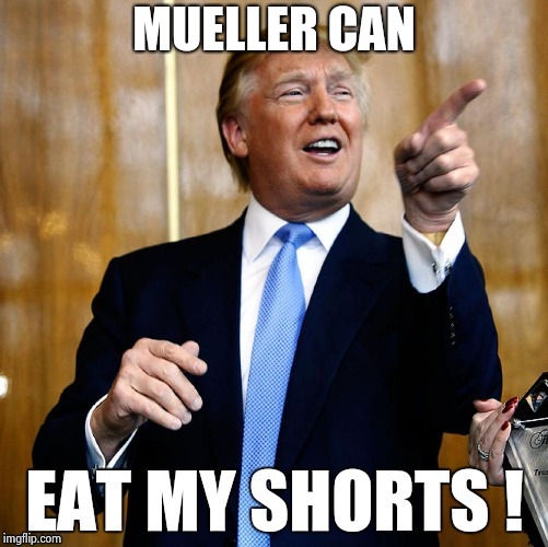 MUELLER CAN | image tagged in trump replys | made w/ Imgflip meme maker