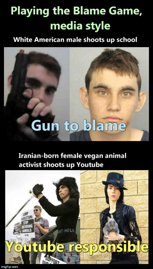 image tagged in blame game,media style,parkland shooter,youtube shooter,media hypocrisy,media bias | made w/ Imgflip meme maker
