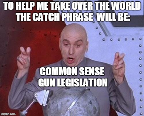 evil intent | TO HELP ME TAKE OVER THE WORLD THE CATCH PHRASE  WILL BE:; COMMON SENSE GUN LEGISLATION | image tagged in memes,dr evil laser,gun control | made w/ Imgflip meme maker