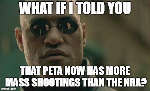 Matrix Morpheus Meme | WHAT IF I TOLD YOU; THAT PETA NOW HAS MORE MASS SHOOTINGS THAN THE NRA? | image tagged in memes,matrix morpheus | made w/ Imgflip meme maker