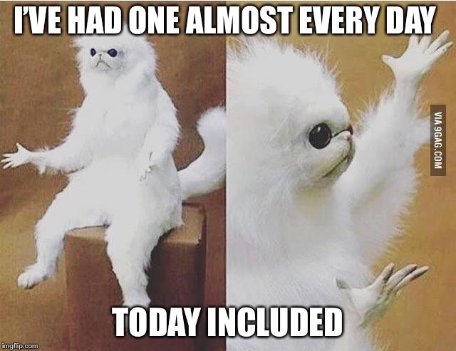 I’VE HAD ONE ALMOST EVERY DAY TODAY INCLUDED | made w/ Imgflip meme maker