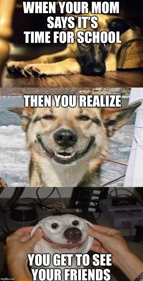 Sad dog,happy dog,happiest dog. | WHEN YOUR MOM SAYS IT’S TIME FOR SCHOOL; THEN YOU REALIZE; YOU GET TO SEE YOUR FRIENDS | image tagged in sad dog happy dog happiest dog. | made w/ Imgflip meme maker