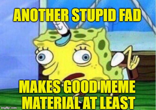Mocking Spongebob Meme | ANOTHER STUPID FAD MAKES GOOD MEME MATERIAL AT LEAST | image tagged in memes,mocking spongebob | made w/ Imgflip meme maker