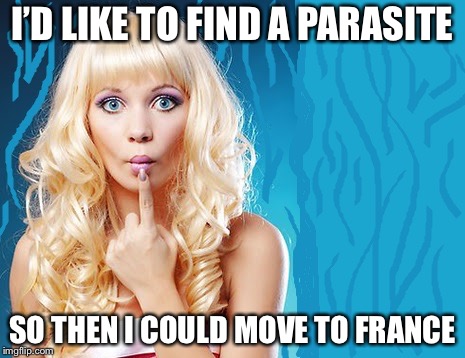 I’D LIKE TO FIND A PARASITE SO THEN I COULD MOVE TO FRANCE | made w/ Imgflip meme maker