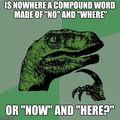 Philosoraptor | IS NOWHERE A COMPOUND WORD MADE OF "NO" AND "WHERE"; OR "NOW" AND "HERE?" | image tagged in memes,philosoraptor | made w/ Imgflip meme maker