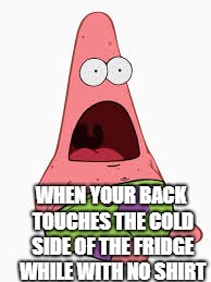 WHEN YOUR BACK TOUCHES THE COLD SIDE OF THE FRIDGE WHILE WITH NO SHIRT | image tagged in patrick star | made w/ Imgflip meme maker